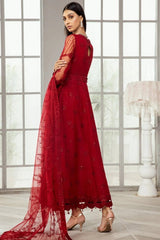 Alizeh Formals-D-8 Rubi