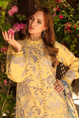 Rang Rasiya Carnation Summer '24 (IRIS)