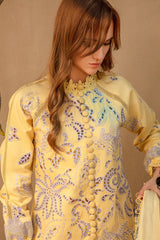 Rang Rasiya Carnation Summer '24 (IRIS)