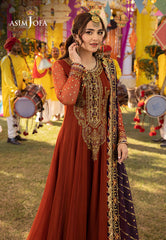 Dastaan Festive Collection By Asim Jofa 19