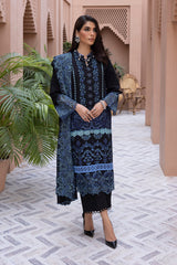 Karandi Shawl Collection By Rang Rasiya