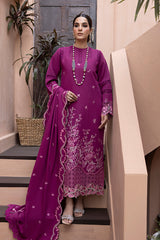 Karandi Shawl Collection By Rang Rasiya