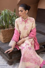 Karandi Shawl Collection By Rang Rasiya