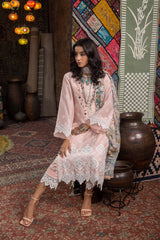 Adan’s Libas Embroidered Lawn Collection 10