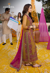 Dastaan Festive Collection By Asim Jofa 22