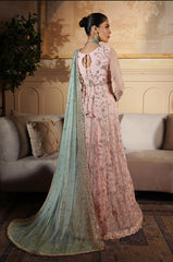 Nauroz Festive Formal