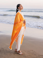 Zainab Chottani Luxury Lawn Collection 24 (3B)