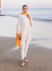 Zainab Chottani Luxury Lawn Collection 24 (3B)