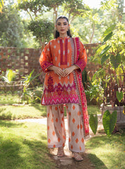 Zainab Chottani Tahra Embroidered Lawn 24 (8B)