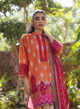 Zainab Chottani Tahra Embroidered Lawn 24 (8B)
