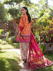 Zainab Chottani Tahra Embroidered Lawn 24 (8B)
