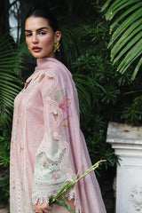 Qalamkar Qline Drop 1 '26