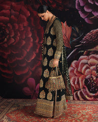 Roheenaz Royale Eternel | Chiffon Edit '26