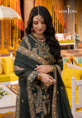 Dastaan Festive Collection By Asim Jofa 12