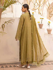 Noor e Chasham By Aalaya Summer Vol 02 '25