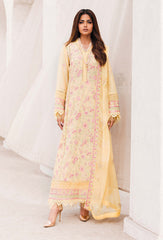 Adan's Libas Chikankari Lawn Collection 24