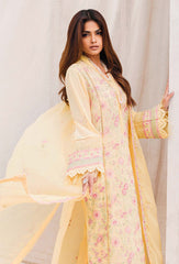 Adan's Libas Chikankari Lawn Collection 24