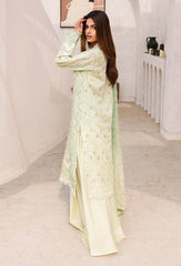Adan's Libas Chikankari Lawn Collection 24