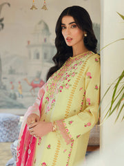 Rajbari Essentials Edition Lawn Collection 24