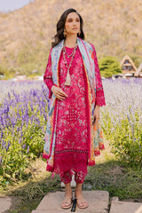 SHEZLIN CHIKANKARI EID EDIT '26