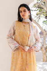 SHEZLIN CHIKANKARI EDIT '26 By Aabyaan