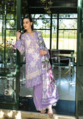 ELAF PRINTS COLLECTION 2025