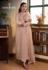 Asim Jofa Shadow Work
