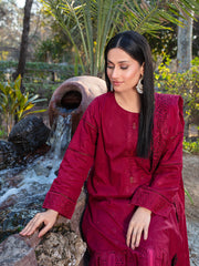 FIZZA VOL II Summer 2025