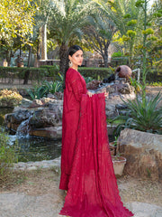 FIZZA VOL II Summer 2025