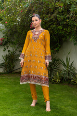 Luminara - Chiffon Unstitched ’25 By Manahil Lakhani