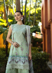 ELAF SIGNATURE COLLECTION 2025 - EMBROIDERED LAWN COLLECTION