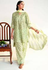 Rang e Bahar By Humdum