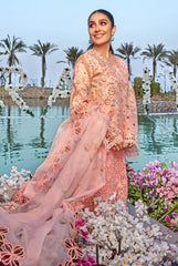 Rang Rasiya Premium Eid Collection-D13