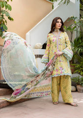 ELAF PRINTS CHIFFON 2025 VOL 1