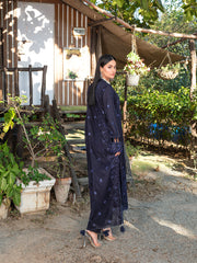 FIZZA VOL II Summer 2025