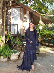 FIZZA VOL II Summer 2025