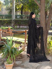 FIZZA VOL II Summer 2025