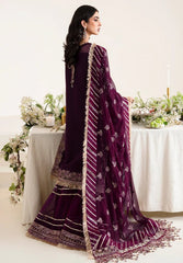 Alizeh Reena Wedding Edit-D19