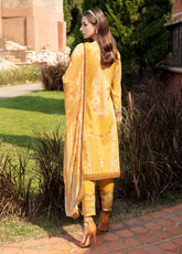 Springtime Ballet Lawn Collection By Gulaal