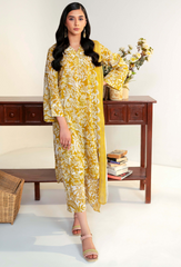 Rang e Bahar By Humdum