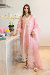 Rang Rasiya Carnation Festive Summer 25