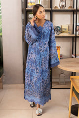 Nureh Ballerina Chikankari Two Piece 25