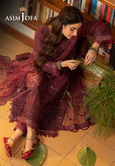 Asim Jofa Shadow Work