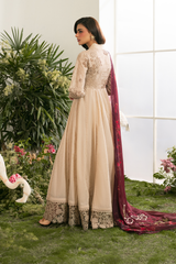 Festive Edition Lawn '25 By Iznik