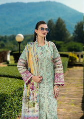 ELAF PRINTS COLLECTION 2025