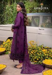 Asim Jofa Shadow Work