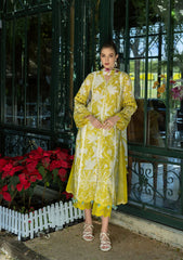 ELAF PRINTS COLLECTION 2025