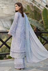 Adan Libas Fuchsia Chikankari