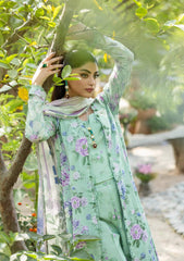 ELAF PRINTS CHIFFON 2025 VOL 1