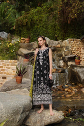 Noor Luxe Chikankaari'25